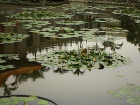 IMG_3551.JPG