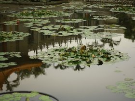 IMG_3552.JPG