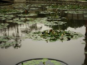 IMG_3553.JPG