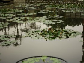 IMG_3554.JPG