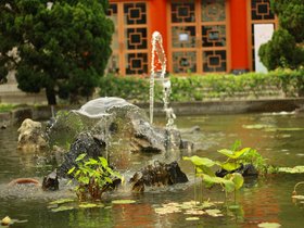 IMG_3567.JPG
