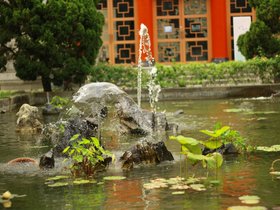 IMG_3568.JPG