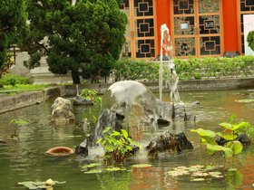 IMG_3571.JPG