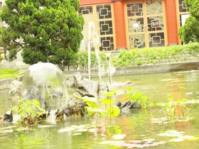 IMG_3576.JPG