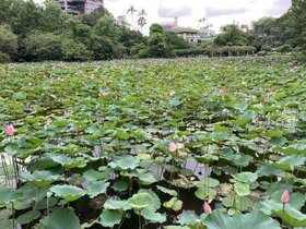 IMG_4381.JPG