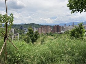 IMG_4679.JPG