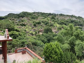 IMG_4691.JPG