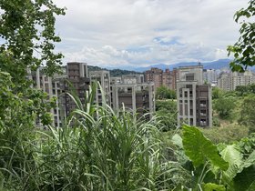 IMG_4693.JPG