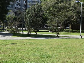 DSC_0464.JPG