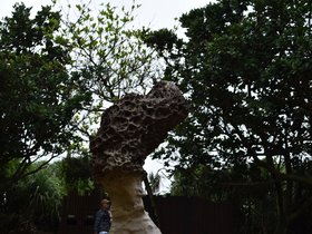 DSC_5032.JPG