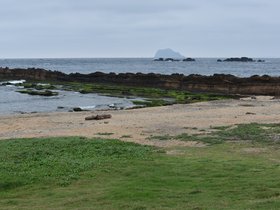 DSC_5037.JPG