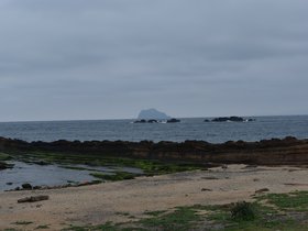 DSC_5045.JPG