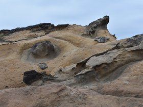 DSC_5046.JPG