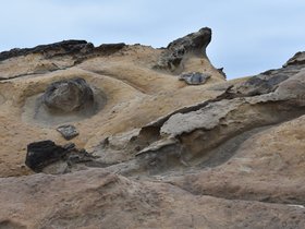 DSC_5047.JPG