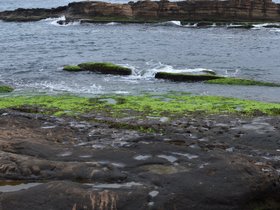 DSC_5049.JPG