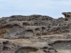 DSC_5050.JPG