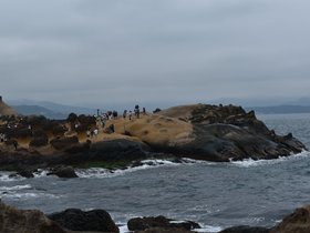 DSC_5052.JPG