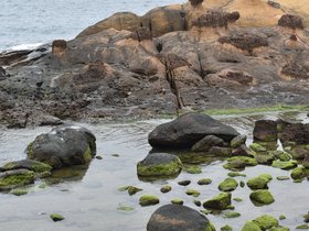 DSC_5053.JPG