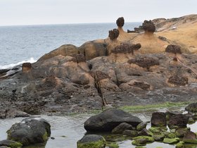 DSC_5054.JPG