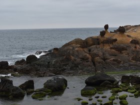 DSC_5055.JPG