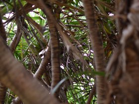DSC_5070.JPG