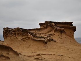 DSC_5079.JPG