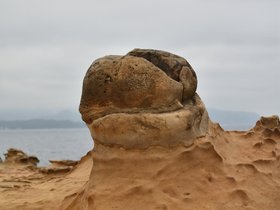 DSC_5083.JPG