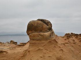 DSC_5084.JPG
