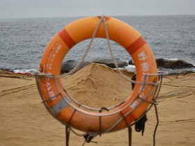 DSC_5101.JPG