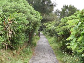 DSC_5125.JPG