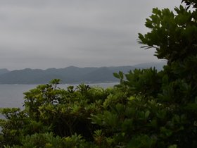 DSC_5149.JPG