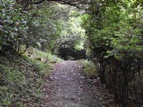 DSC_5159.JPG