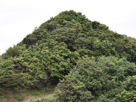 DSC_5161.JPG