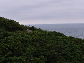 DSC_5162.JPG