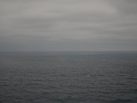 DSC_5168.JPG