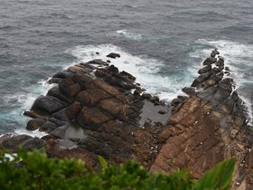 DSC_5170.JPG