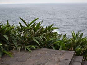 DSC_5179.JPG
