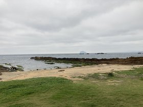 IMG_3334.JPG