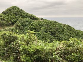 IMG_3340.JPG