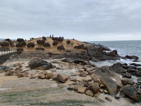 IMG_8405.jpg