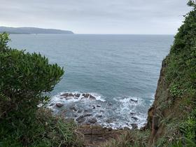 IMG_8449.jpg