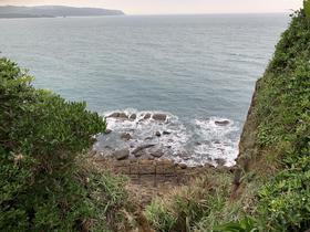 IMG_8451.jpg