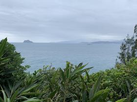 IMG_8453.jpg