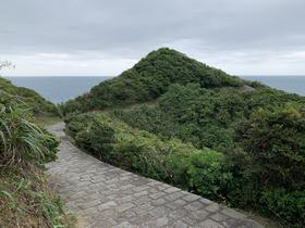 IMG_8465.jpg