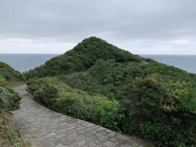 IMG_8466.jpg