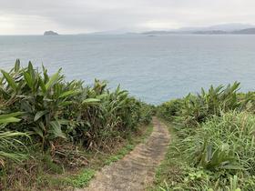 IMG_8474.jpg