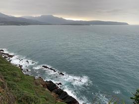 IMG_8479.jpg