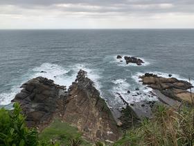 IMG_8480.jpg