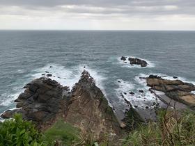 IMG_8481.jpg