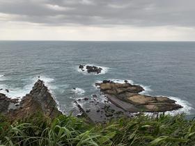 IMG_8509.jpg